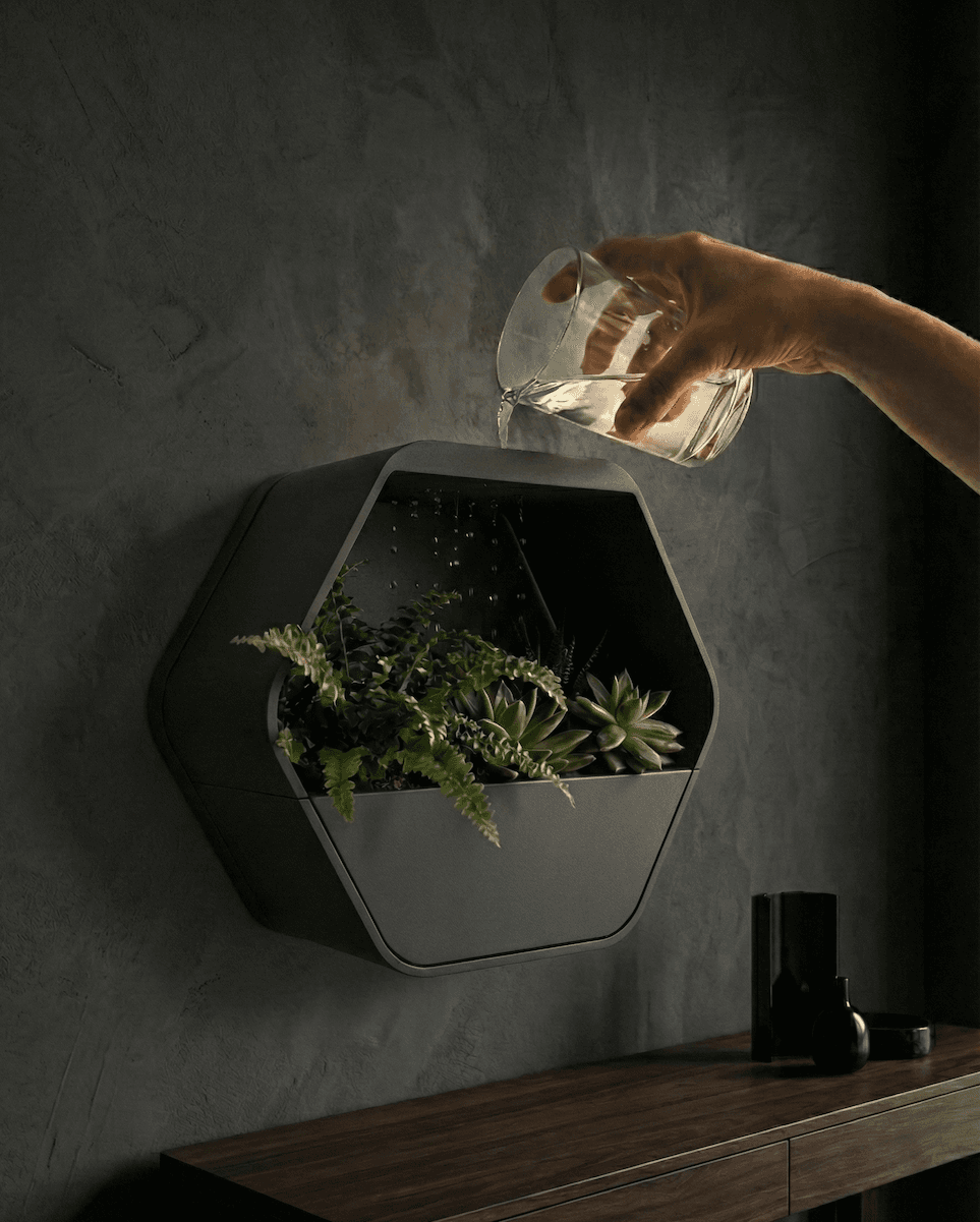 HexaRain Planter – Zen Slow-Drip Wall & Table Pot
