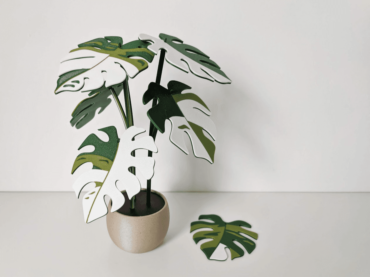 Monstera Leaf Coaster Set – Jungle Chic Tableware