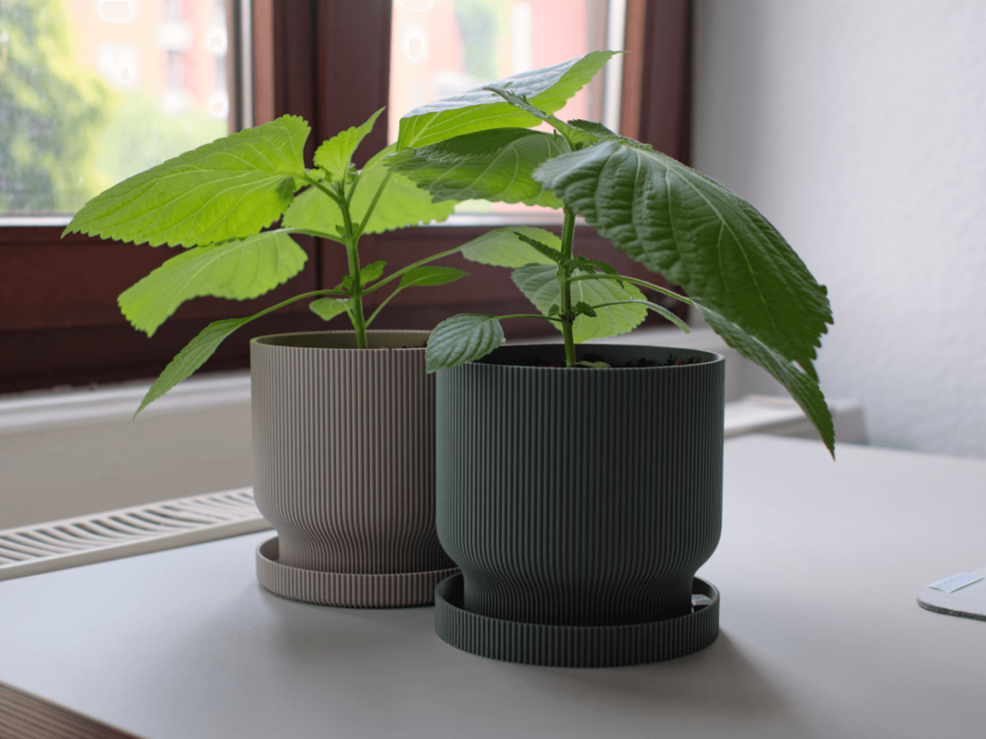 Planter With Drip Tray – 12 cm Everyday Pot