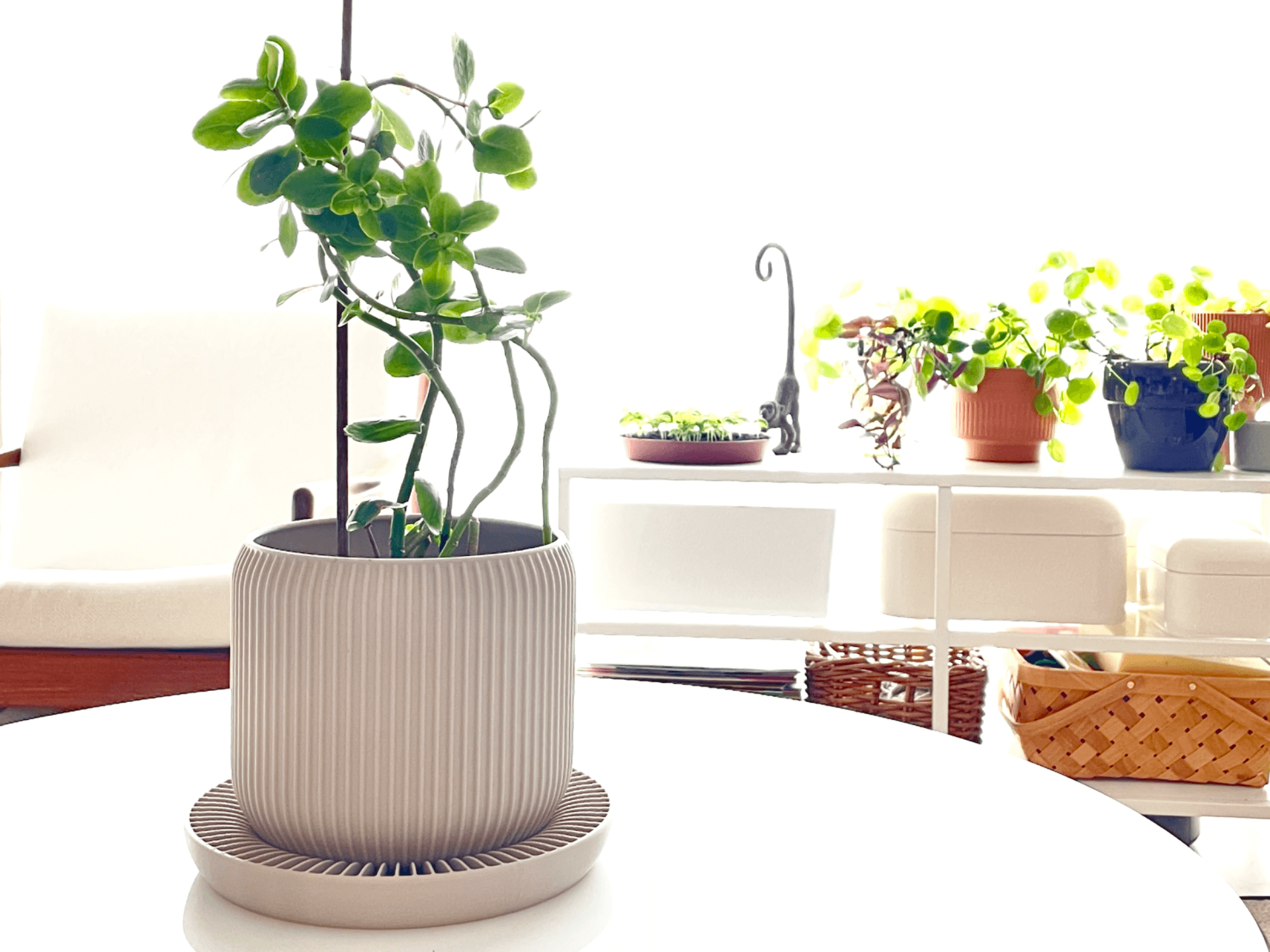 Planter With Water Tray – Everyday Houseplant Pot