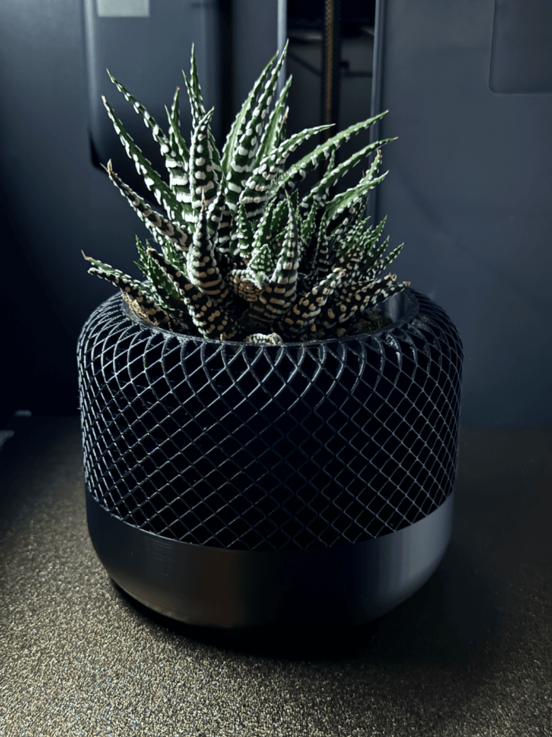 Pod Planter – Rounded Modern Plant Pot