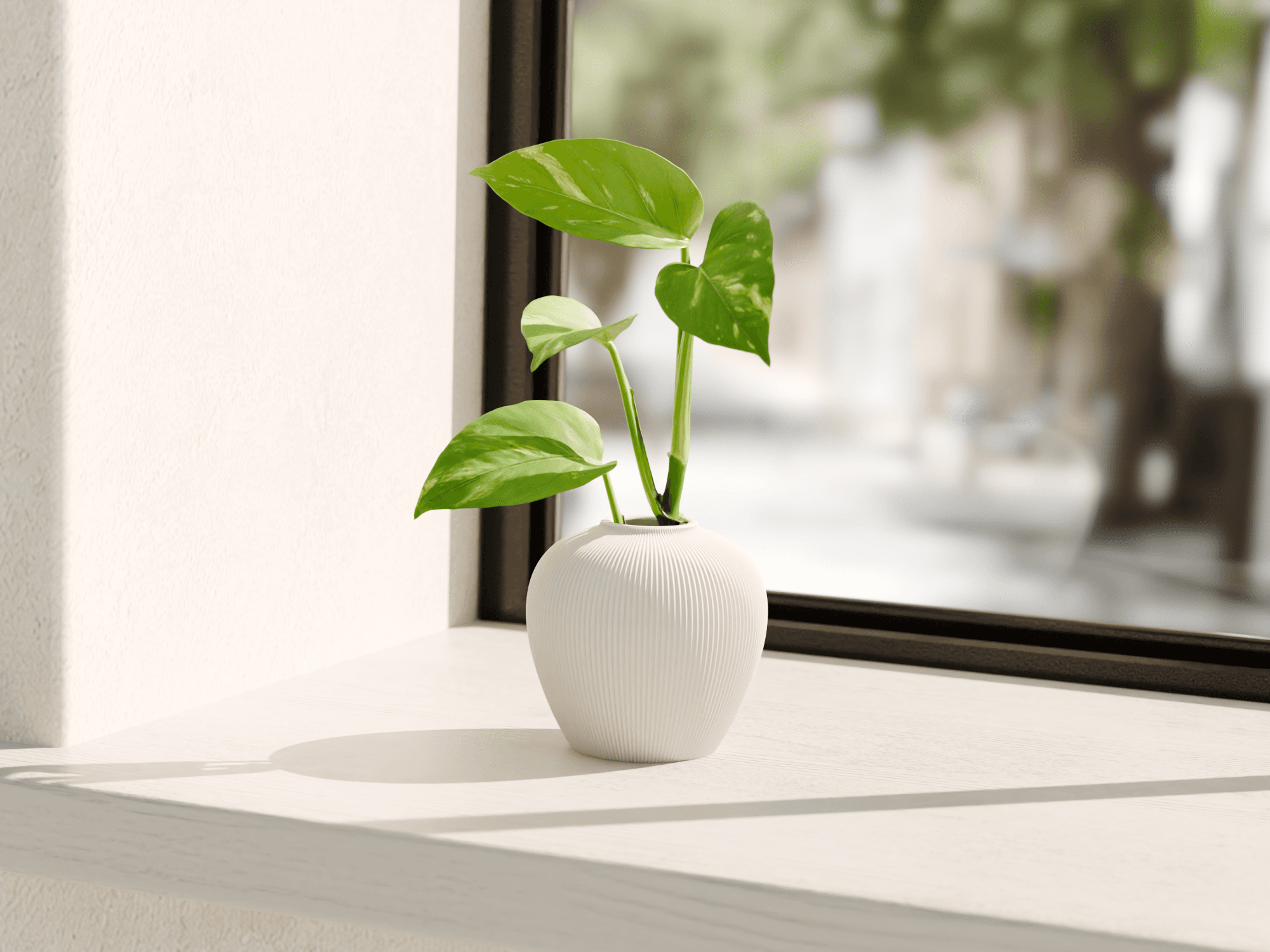 Propagation Vase – Grow Cuttings in Style