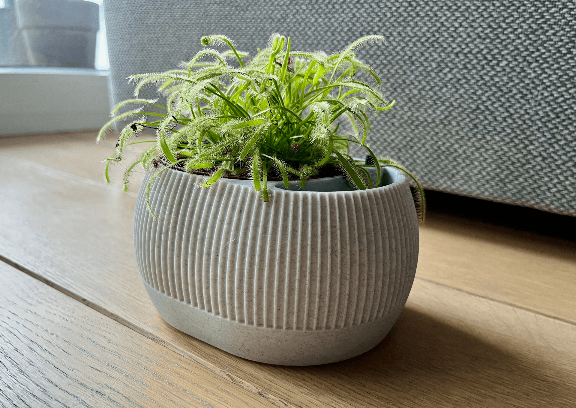 Self-Watering Pot – Built-In Water Level Gauge
