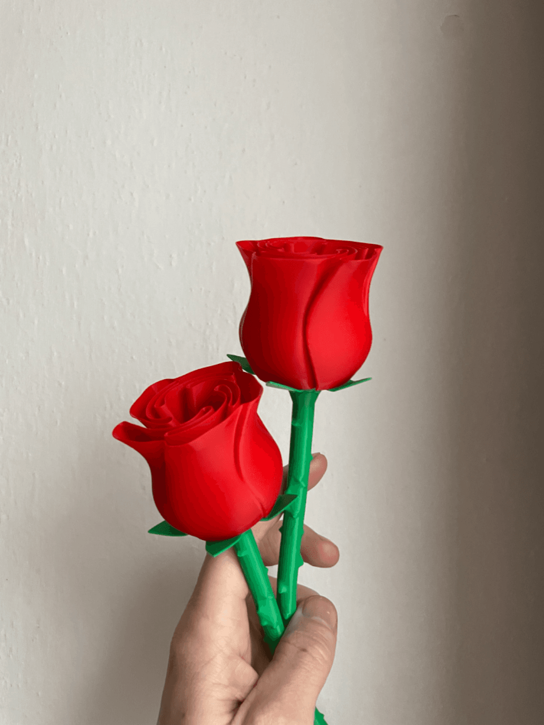 Single Rose With Stem – Everlasting Romantic Gift